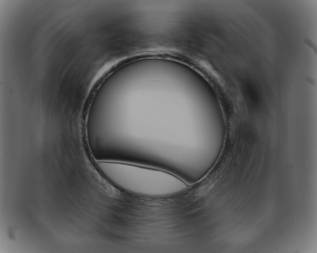 X0000092101412200709121100