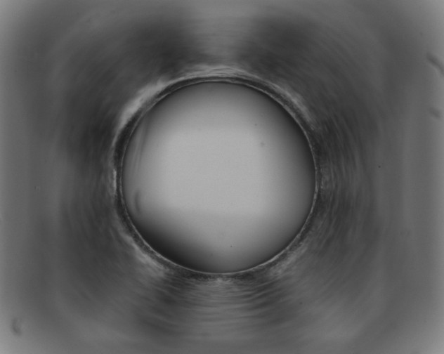 X0000092101414200709121100