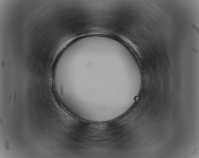 X0000092101415200709121100