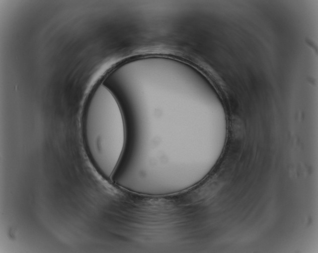X0000092101416200709121100