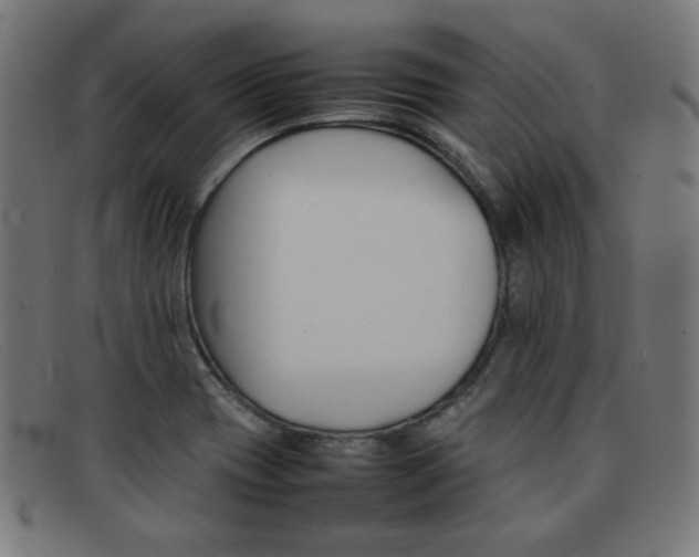 X0000092101417200709121100