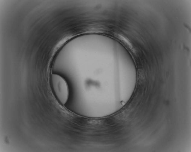 X0000092101419200709121100