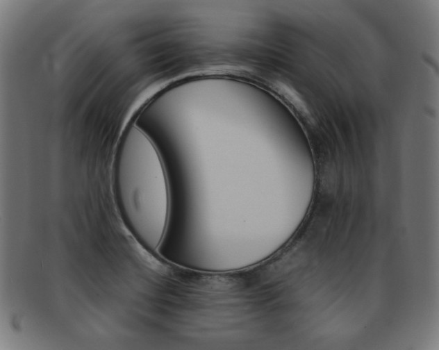 X0000092101420200709121100