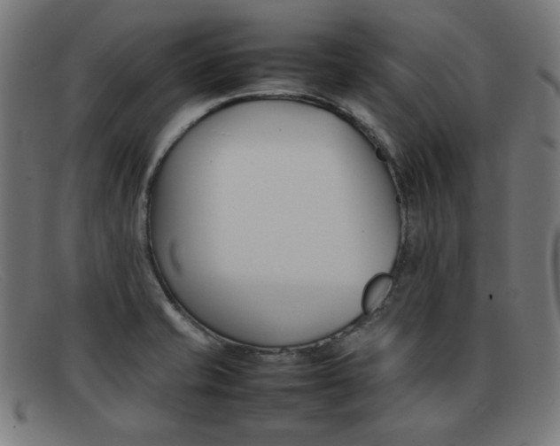 X0000092101421200709121100