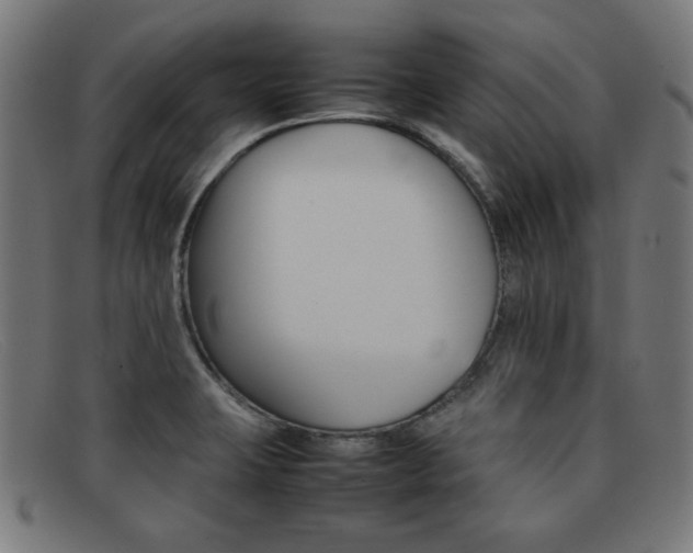 X0000092101423200709121100