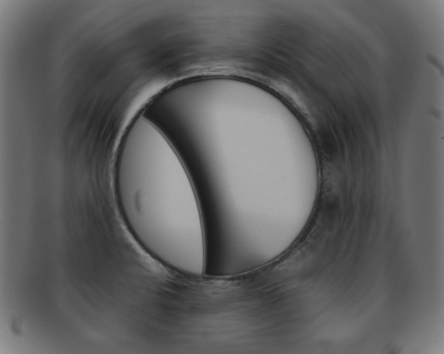X0000092101424200709121100