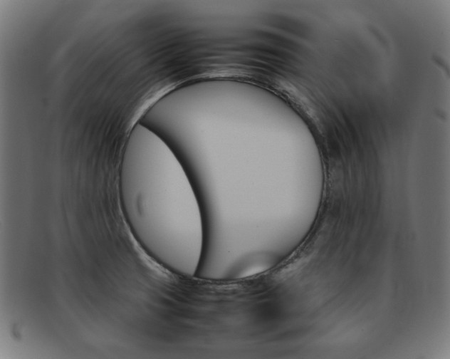 X0000092101425200709121100