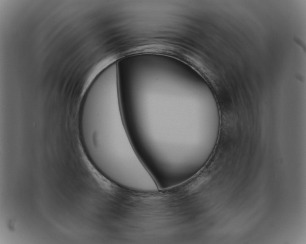 X0000092101426200709121100