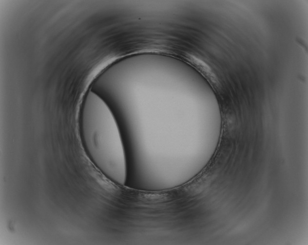 X0000092101427200709121100