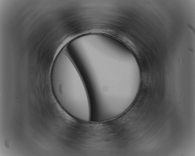 X0000092101428200709121100