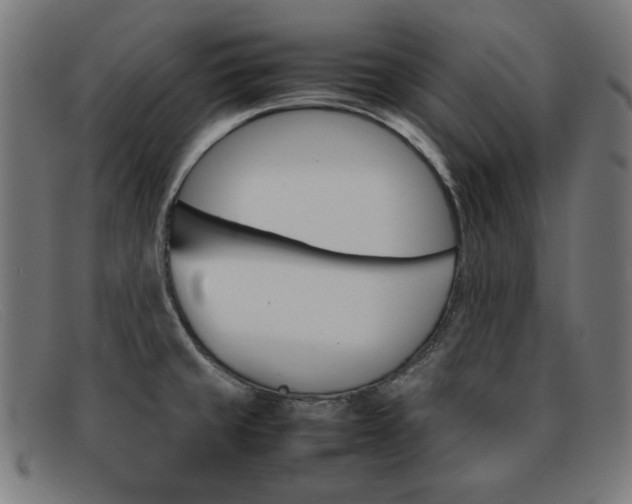 X0000092101429200709121100