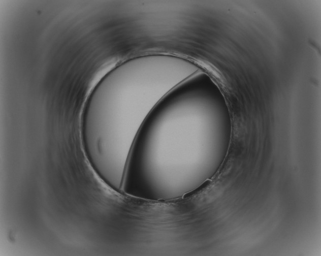 X0000092101430200709121100