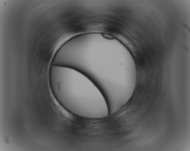 X0000092101431200709121100
