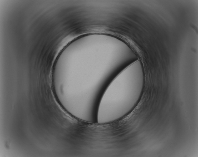 X0000092101432200709121100