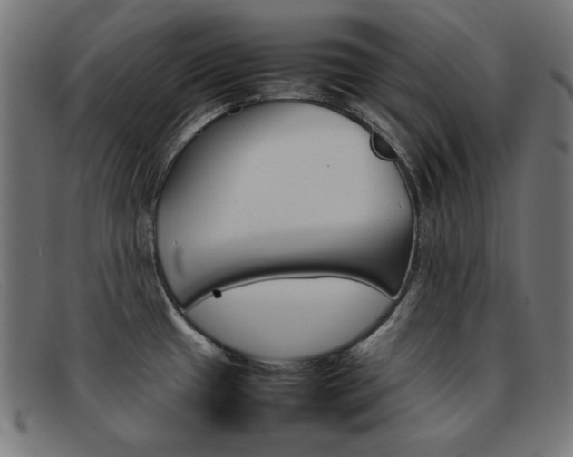 X0000092101433200709121100