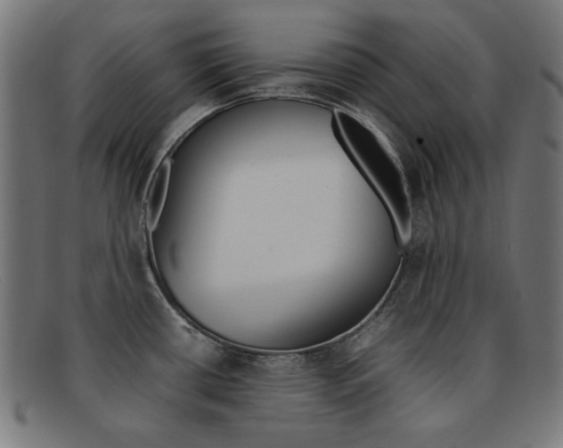 X0000092101434200709121100
