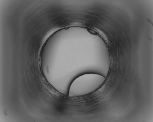 X0000092101435200709121100