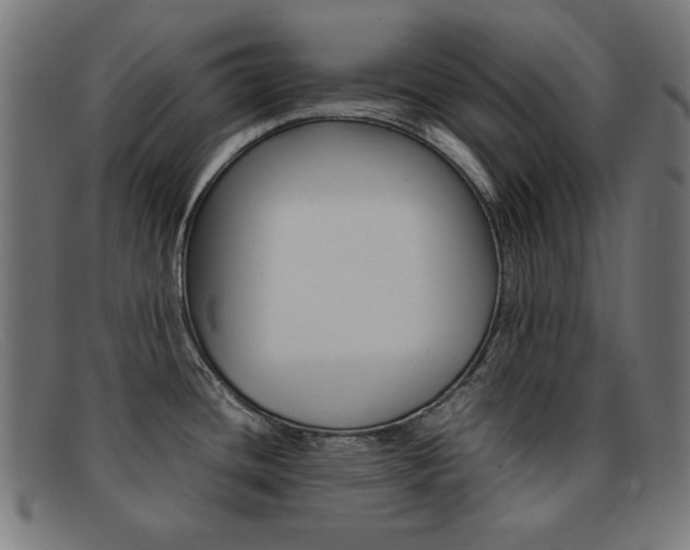 X0000092101436200709121100