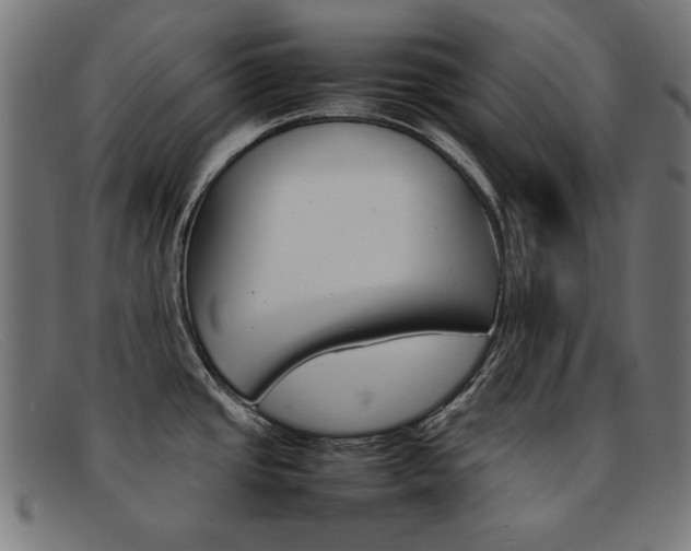 X0000092101437200709121100