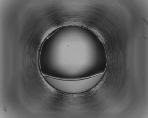 X0000092101438200709121100