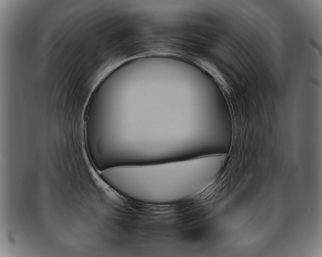 X0000092101439200709121100