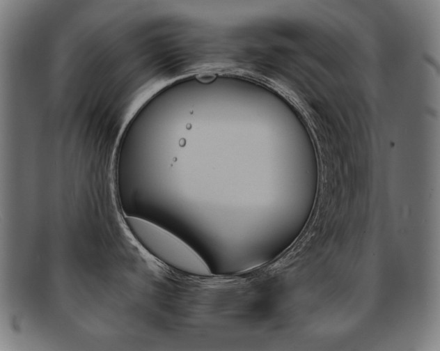 X0000092101440200709121101
