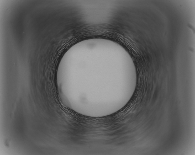 X0000092101441200709121100