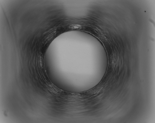 X0000092101442200709121100
