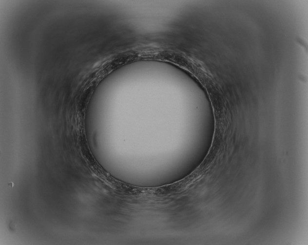 X0000092101445200709121100