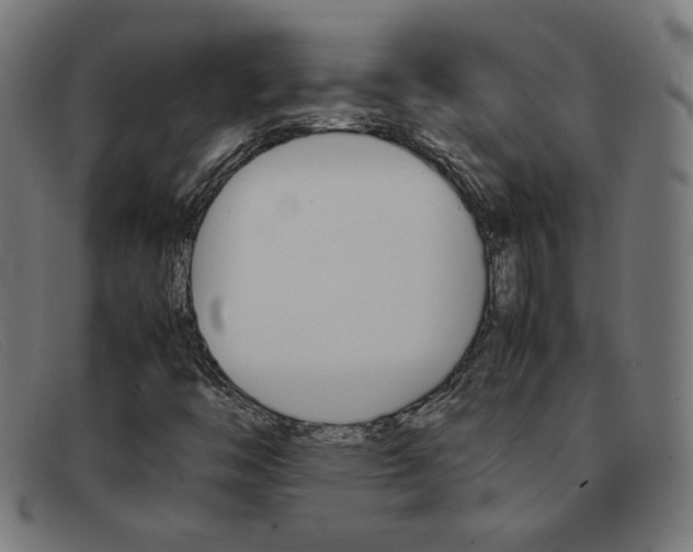 X0000092101446200709121100