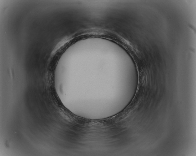 X0000092101448200709121100