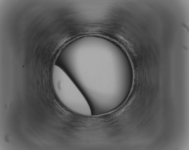 X0000092101449200709121100