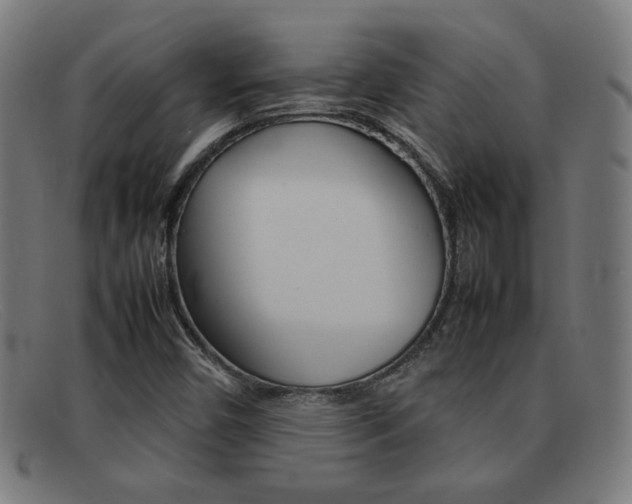 X0000092101450200709121100