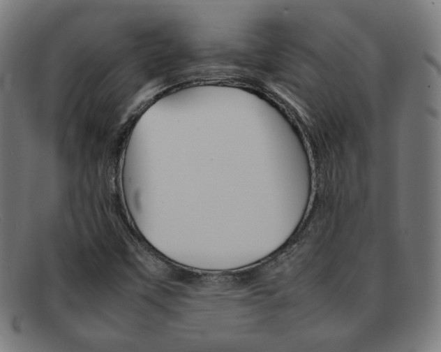 X0000092101451200709121100