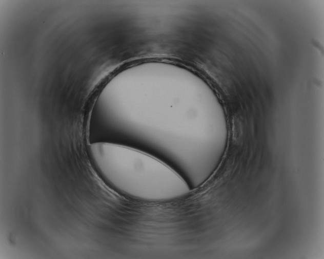 X0000092101452200709121100