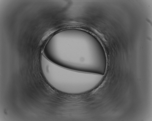 X0000092101453200709121100