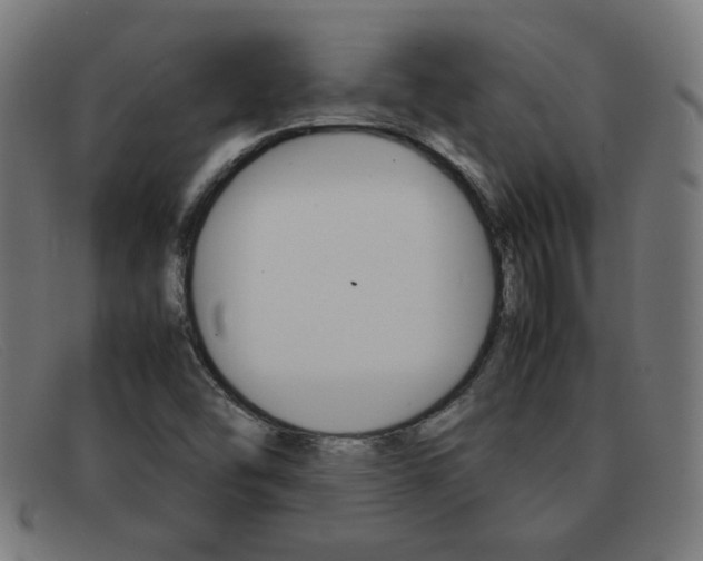 X0000092101454200709121100