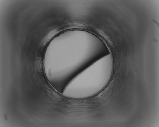 X0000092101455200709121100