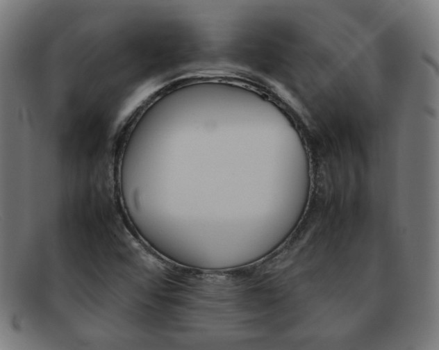 X0000092101456200709121100
