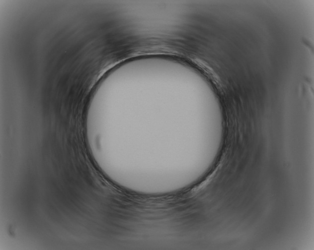 X0000092101457200709121100