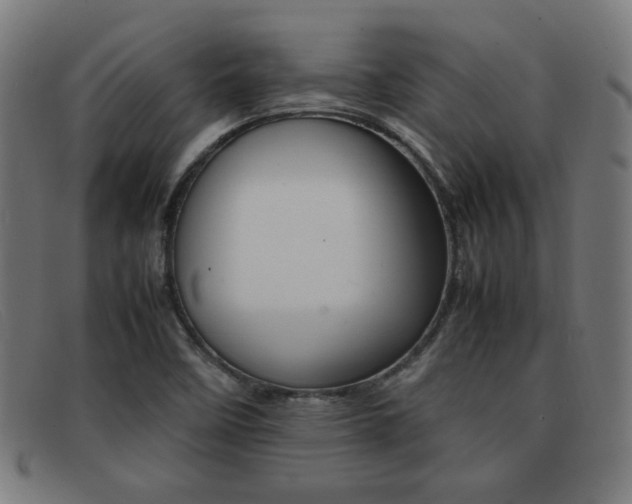 X0000092101458200709121100