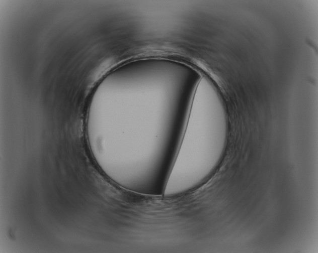 X0000092101459200709121100