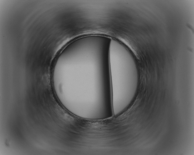 X0000092101460200709121100