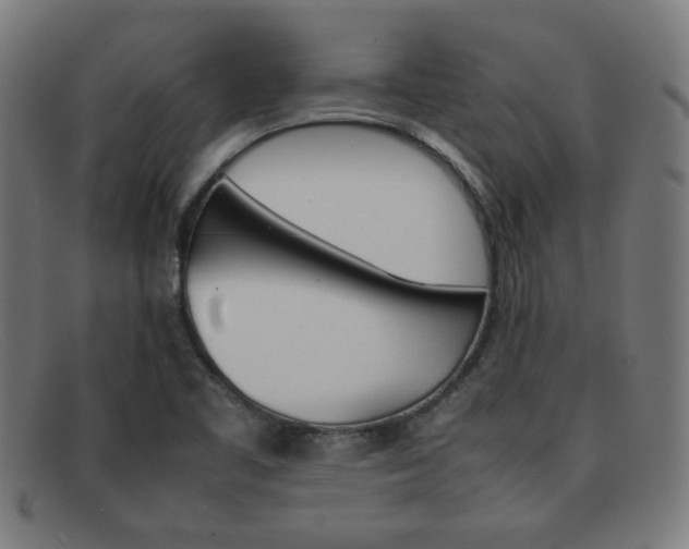 X0000092101461200709121100