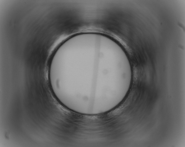 X0000092101462200709121100