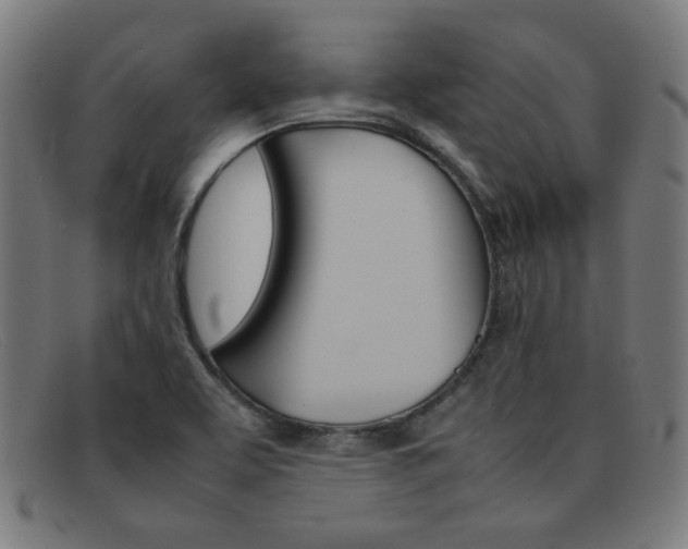 X0000092101463200709121100