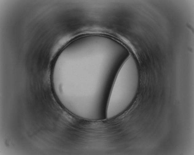 X0000092101464200709121100