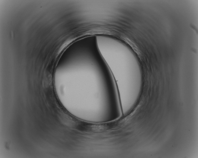 X0000092101465200709121100