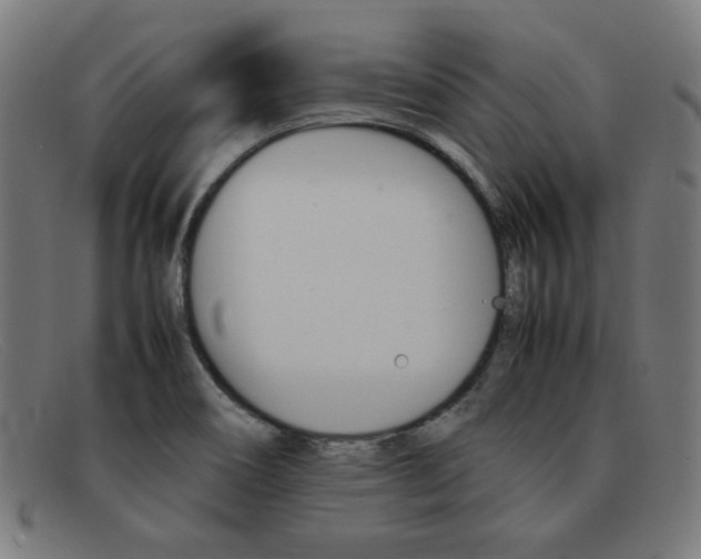 X0000092101466200709121100