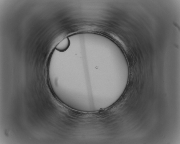X0000092101467200709121100